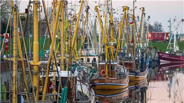 Krabbenkutter liegen in einem Hafen.