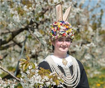 Kurz nach ihrer Krönung präsentiert sich die neue Blütenkönigin des Alten Landes, Hilke Lösing, zwischen den blühenden Bäumen einer Kirschplantage in Jork (Niedersachsen) vor. Die Zeremonie findet traditionell während des alljährlichen Blütenfestes statt.