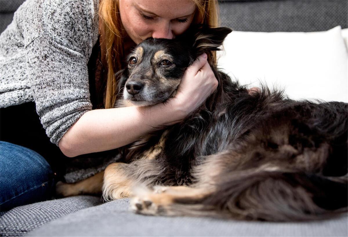 Warnung vom Bundesamt: Kuscheln mit Haustieren kann zur tödlichen Falle werden Ein Frau gibt einem Hund einen Kuss auf den Kopf.