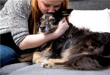 Ein Frau gibt einem Hund einen Kuss auf den Kopf.