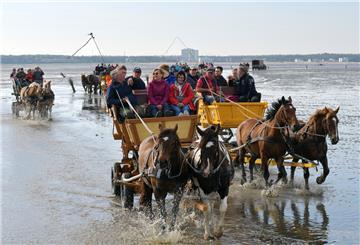 Kutschen fahren durch das Watt zwischen Cuxhaven Duhnen und Neuwerk. Nachdem die alte Strecke unpassierbar wurde, fand man einen neuen Weg durch das Watt zur Insel. Doch auch da kann es zu Vorfällen kommen.