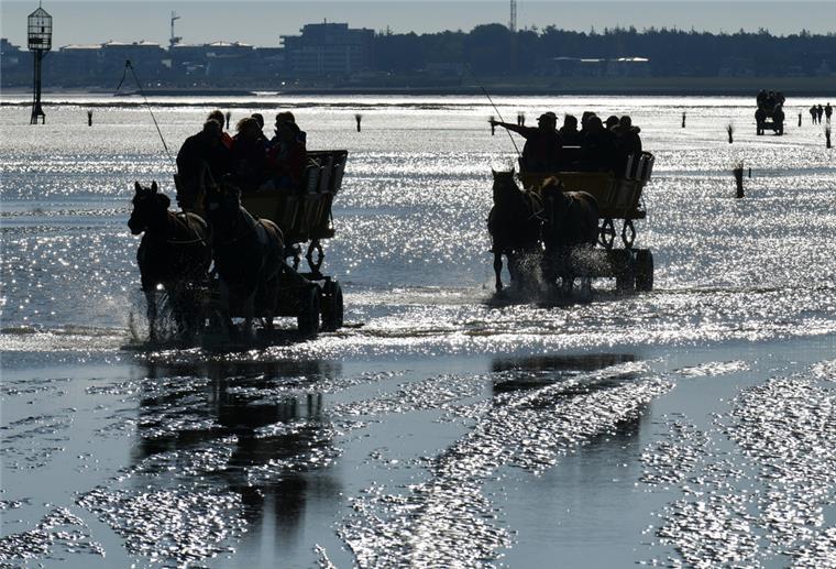 Kutschen fahren über das Watt zwischen Cuxhaven Duhnen und Neuwerk. Foto: Michael Bahlo/dpa