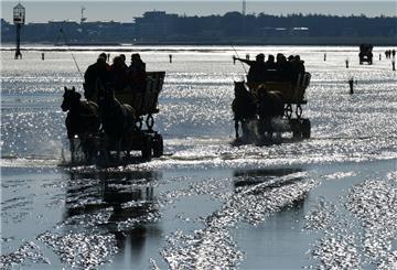 Kutschen fahren über das Watt zwischen Cuxhaven Duhnen und Neuwerk. Foto: Michael Bahlo/dpa