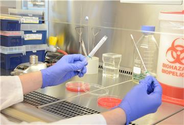 Laborversuch im BIAMOL 
