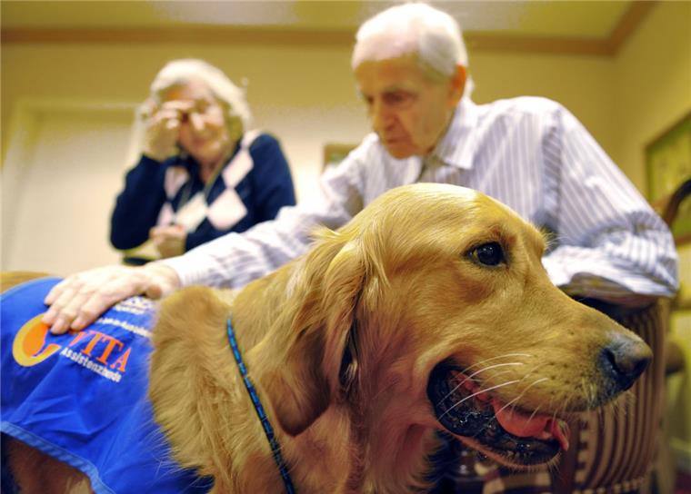 Labrador-Mischling Valentin besucht als Therapiehund demenzkranke Menschen.