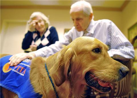 Labrador-Mischling Valentin besucht als Therapiehund demenzkranke Menschen.
