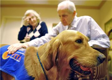 Labrador-Mischling Valentin besucht als Therapiehund demenzkranke Menschen.