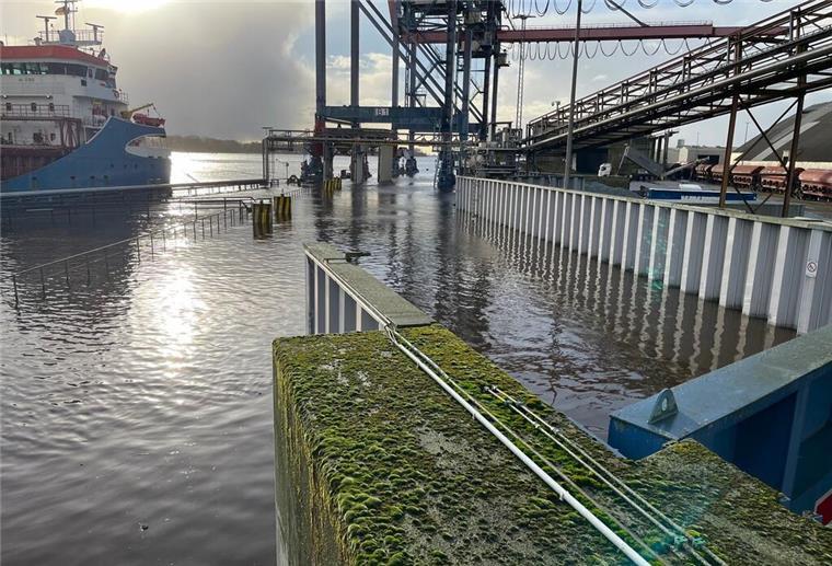Elfmal Hochwasser in zehn Tagen: So verlief der Winter für den Braker Hafen Land unter im Braker Hafen.