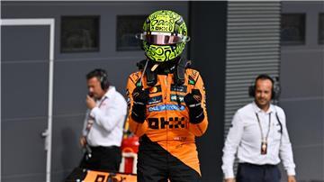 Lando Norris setzte in Ungarn auf eine gewagte Strategie und gewann.