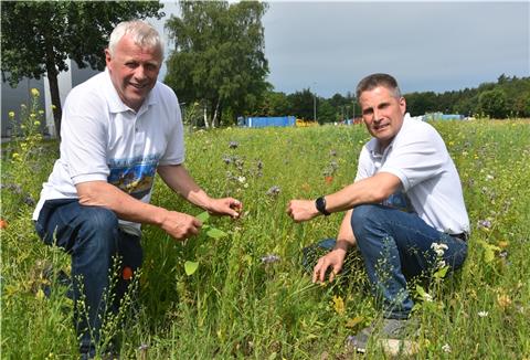 Landwirt Andreas Pape hat mit zusammen mit seinem Kollegen Mario Löhden schon 24 Hektar Wildblumen rund um Zeven angesät.