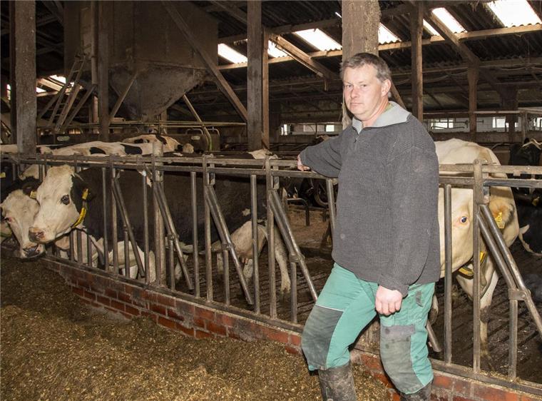Landwirt Hauke Allers steht bei seinen Rindern.
