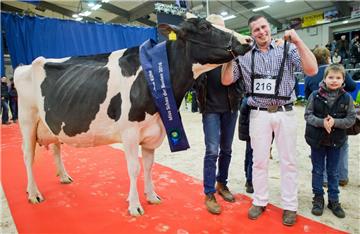 Landwirt Henrik Wille freute sich, dass seine Kuh "Lady Gaga" zur Gewinnerin bei der "Schau der Besten" in Verden ernannt wurde. Foto Stratenschulte/dpa
