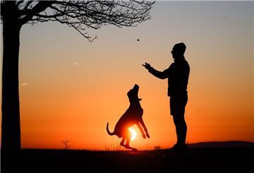 Ein Mann spielt am frühen Morgen bei Sonnenaufgang mit seinem Hund auf dem Kronsberg.