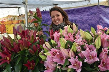 Lilien über Lilien: Bei Isabeau Koolen aus Holland (26) sind die wunderschönen Blumen, die bis zu zwei Meter hoch werden können und sehr robust sein sollen, zu haben.