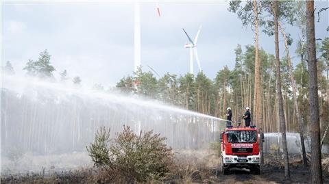 Löscharbeiten der Feuerwehr in einem Waldbrandgebiet.