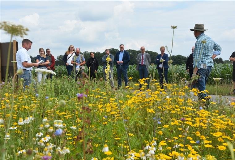 Lokale Entscheidungsträger haben sich in Godenstedt über den Einsatz von Blühpflanzen in Biogasanlagen informiert. Wildblumen aber haben einen geringeren Energiegehalt als Mais. Um dennoch wirtschaftlich arbeiten zu können, erhoffen sich die Betreiber von Biogasanlagen eine angemessene Vergütung.