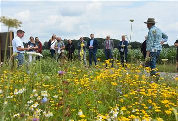 Lokale Entscheidungsträger haben sich in Godenstedt über den Einsatz von Blühpflanzen in Biogasanlagen informiert. Wildblumen aber haben einen geringeren Energiegehalt als Mais. Um dennoch wirtschaftlich arbeiten zu können, erhoffen sich die Betreiber von Biogasanlagen eine angemessene Vergütung.