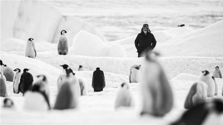 Luc Jacquet mit Kaiserpinguinen in einer Szene des Films „Rückkehr zum Land der Pinguine“.
