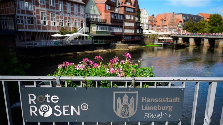 Lüneburg profitiert seit fast 20 Jahren von den „Roten Rosen“. 