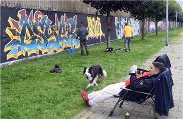 Sehr bunt: Mal ein Päuschen und ein Blick aus der Distanz aufs Kunstwerk: 50 Graffiti-Künstler haben die ehemalige SSW-Schiffbauhalle in ein buntes Farbenmeer verwandelt.