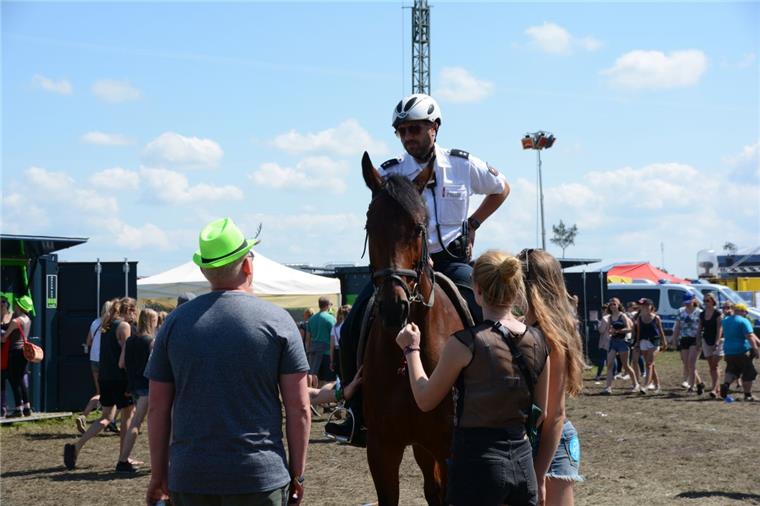 Deichbrand 2017: Polizei-Pferd Camelot gehört zu den Stars des Festivals Marcus Bank mit Camelot sind heimliche Stars auf dem Deichbrand-Festival. Alle paar Meter muss der Polizist sein "Gefährt" anhalten, damit es sich Streicheleinheiten abholen kann.