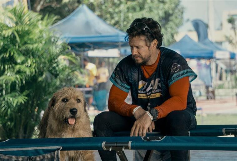 Trotz Tierhaar-Allergie: Mark Wahlberg liebt seine Hunde Mark Wahlberg als Michael in einer Szene des Films „Arthur der Große“. Der Schauspieler setzt sich für die Adoption von Haustieren ein.