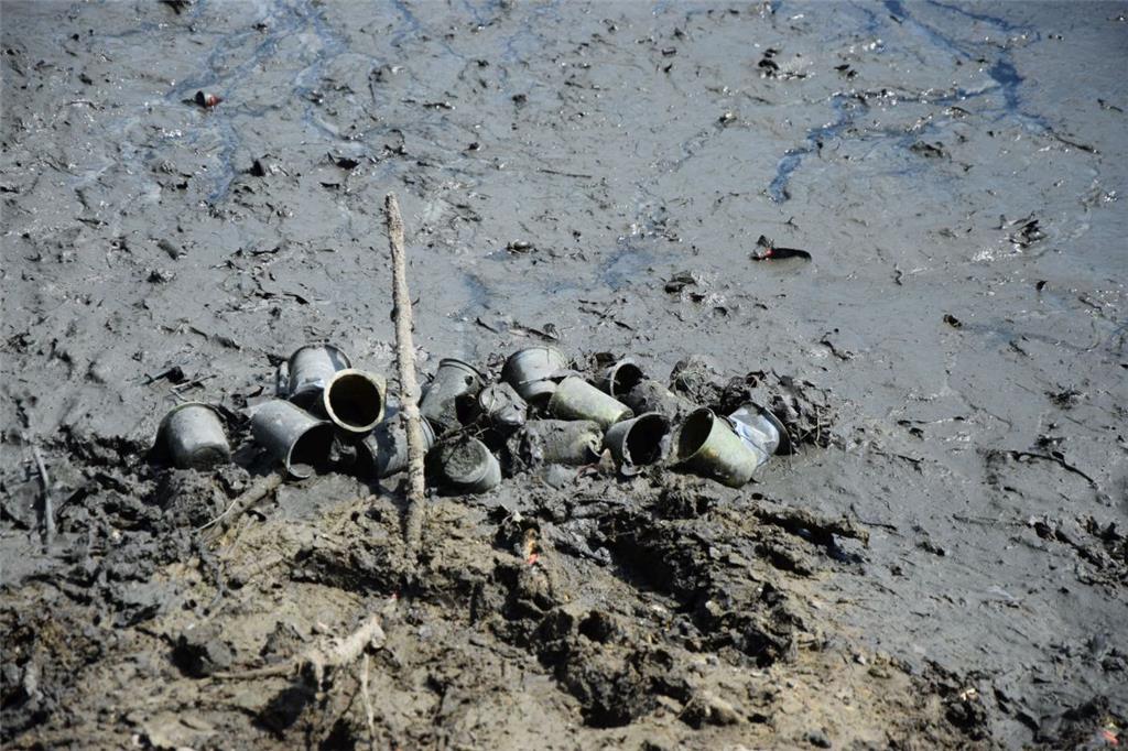 Massen an Dosen, Plastikbechern und Flaschen schlummern im Modder des Holzhafens...