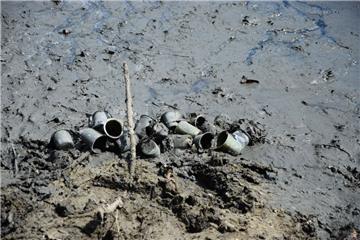 Massen an Dosen, Plastikbechern und Flaschen schlummern im Modder des Holzhafens...