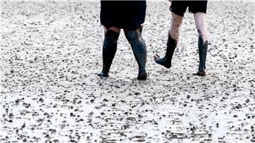 Menschen im Wattenmeer