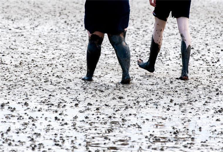 Menschen im Wattenmeer