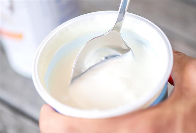 ILLUSTRATION - Ein Teller mit Joghurt.
