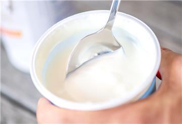 ILLUSTRATION - Ein Teller mit Joghurt.