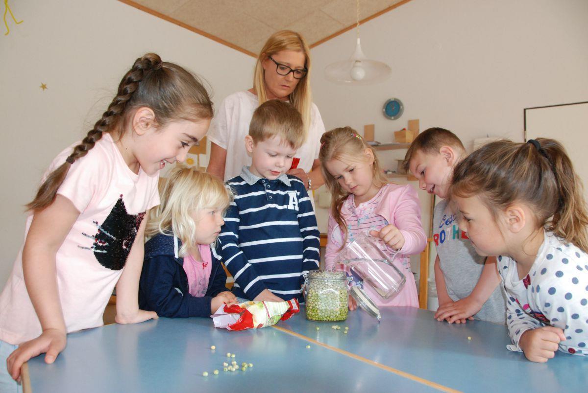 Mia (von links), Mina, Theo, Maya, Maximilian und Emily füllen ein Glas bis oben hin mit Erbsen und Wasser. Dann heißt es warten.