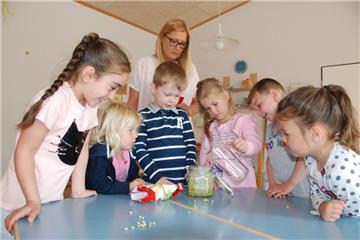 Mia (von links), Mina, Theo, Maya, Maximilian und Emily füllen ein Glas bis oben hin mit Erbsen und Wasser. Dann heißt es warten.