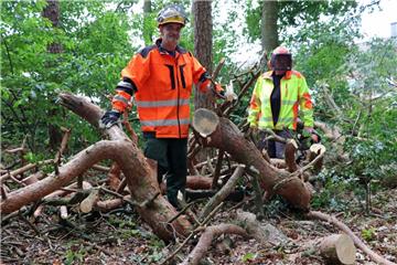 Michael Tuchel (rechts) und Michael Gessler haben Anfang der Woche rund 25 abgestorbene Bäume gefällt, um die Verkehrssicherheit der Spaziergänger in dem kleinen Waldstück am Nord-West-Ring in Zeven zu gewährleisten.  