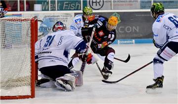 Mike Hoeffel fehlt den Fischtown Pinguins heute Abend gegen Straubing. Der Stürmer muss bei den Nieder- bayern aus familiären Gründen passen.