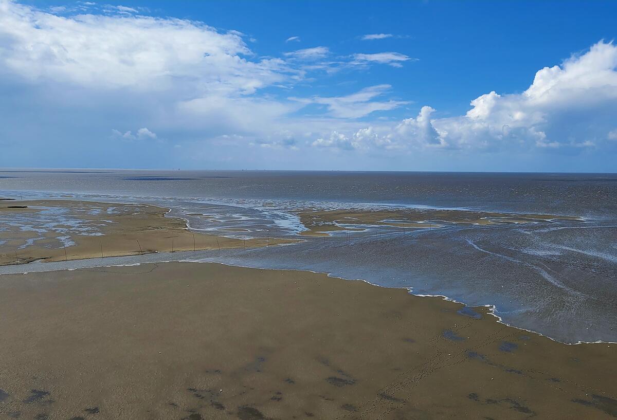 Vogelgrippe-Warnung! Das sollten Wattenmeer-Besucher jetzt beachten Blick auf das Wattenmeer.