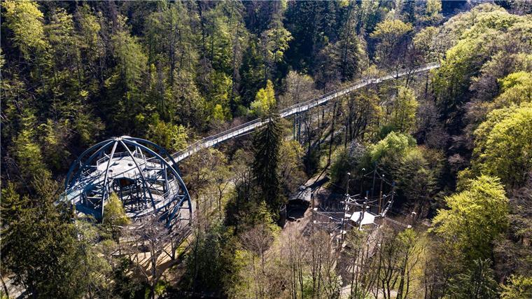 Baumwipfelpfad im Harz will Angebot weiter ausbauen Mit dem Baumwipfelpfad begann vor zehn Jahren der Ausbau des touristischen Angebotes am Burgberg in Bad Harzburg. (Archivbild)