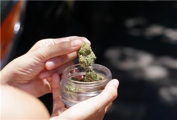 Mit dem Inkrafttreten des Gesetzes „Cannabis als Medizin“ im Jahr 2017 wurde es chronisch kranken Menschen erstmals ermöglicht, medizinisches Cannabis per ärztlicher Verschreibung legal zu beziehen.