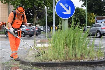 Mit der Motorsense beseitigte EBB-Mitarbeiter Rainer Matthießen Dienstagmittag den Wildwuchs auf den gepflasterten Mittelinseln im Bereich der Elbestraße in Geestemünde