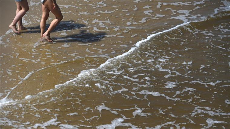 Gefahr durch Vibrionen: Sommerhitze lässt das Risiko steigen Mit der sommerlichen Hitze steigt das Risiko für Vibrionen-Infektionen an Nord- und Ostsee.