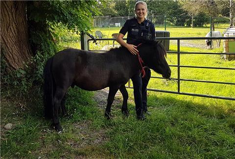 Mit einem Riesensprung über den Weidezaun war das Pony einer Stute gefolgt. Passanten und diese Polizeibeamtin konnten das Tier stoppen.