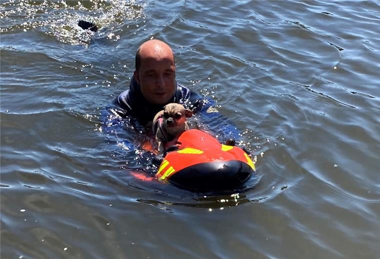 Mit einem sogenannten Seabob wurde der Hund an Land gebracht.