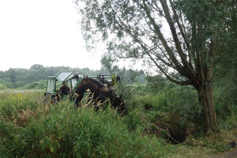 Mit einem Traktor wurde das Pferd aus dem Graben befreit.