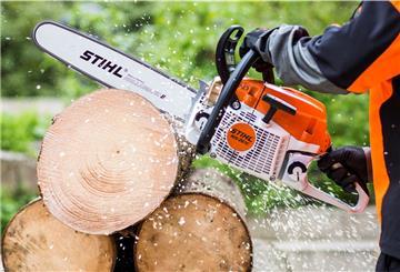 Eine Kettensäge zerschneidet Holz