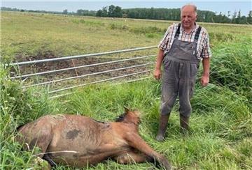 Mit einer klaffenden Wunde an der Bauchseite, mit Verletzungen am Hals und an der Kruppe zog Uwe Wichers den Hannoveraner-Jährling aus dem Graben.