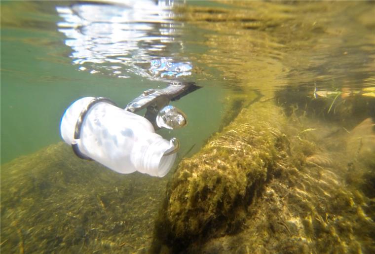 Cuxland: Trüben Keime den Badespaß? Mit einer Kunststoffflasche werden Wasserproben aus den Gewässern entnommen und anschließend auf Keime untersucht.
