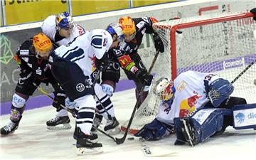 Mit großem Kampfgeist schlugen die Fischtown Pinguins den  EHC Red Bull  München. So soll es auch am Freitag gegen die Düsseldorfer EG sein. 