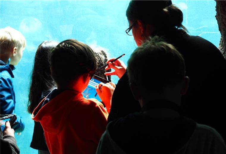Mit Hilfe der Tablets lernen die Kinder digitale Fakten rund um die Tiere.