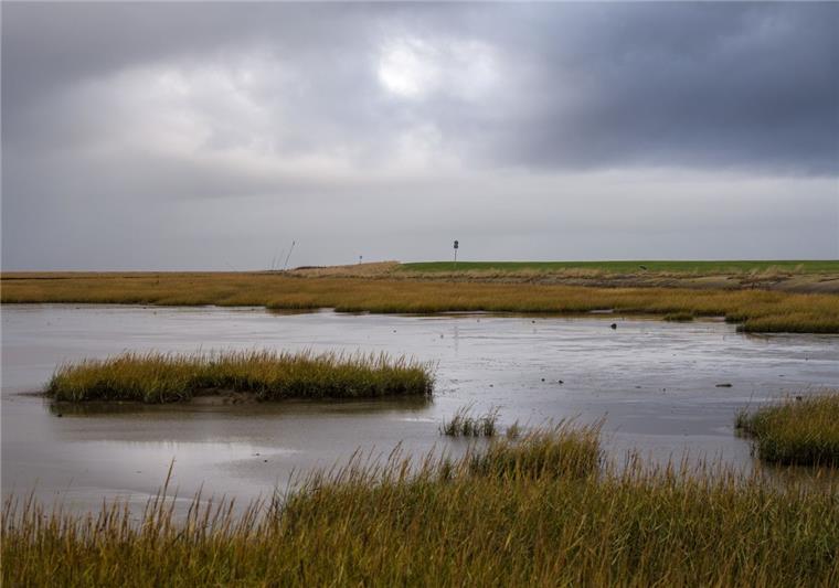 Mit ihrer einzigartigen unberührten Natur will die Gemeinde Wurster Nordseeküste punkten.